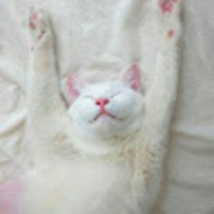 Meet your Posher, Kate